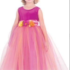 Girls Party Dress